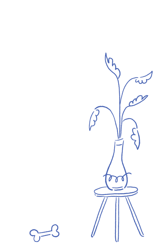 img-plant-stand