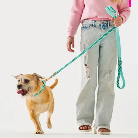 Walk Essentials