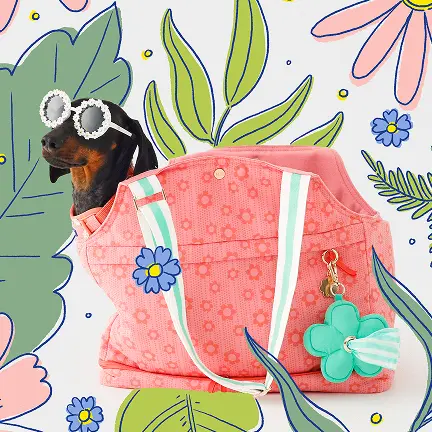 Hooray-House-Dog-Collar-Leash-Harness