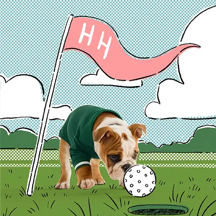 Hooray-House-Pet-Toys-Tennisball-Tug-Toy