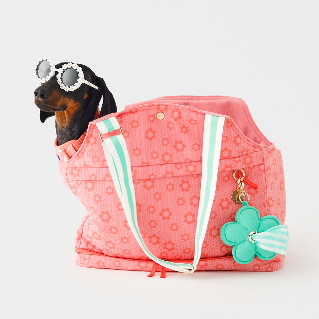 Daisy Pet Carrier