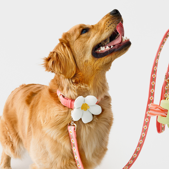 Daisy Collar Slide