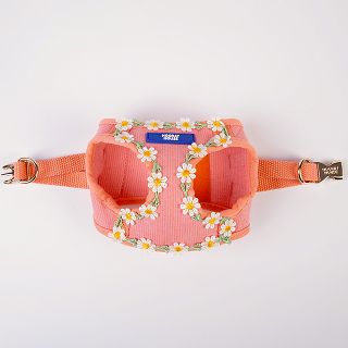 Daisy Dog Harness – XS