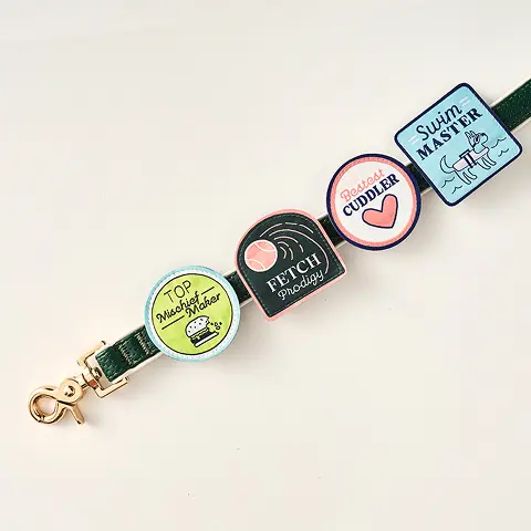 Merit Badge collar & leash slides
