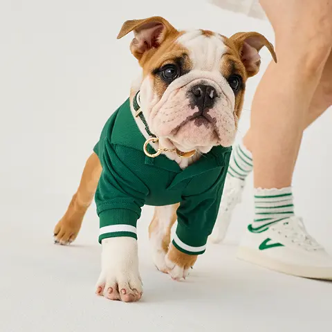 GREEN PIQUE Polo Shirt