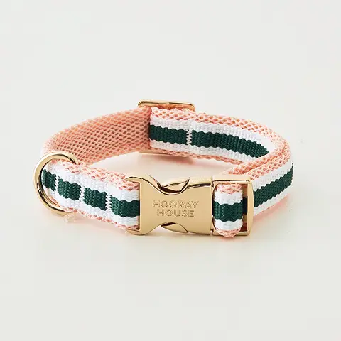 Performance Mesh Collar