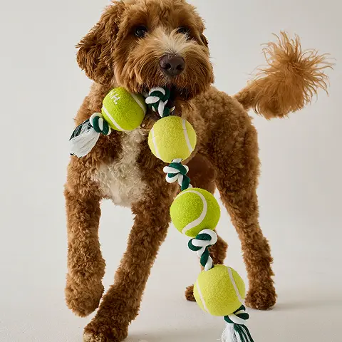 Tennis ball Tug Toy