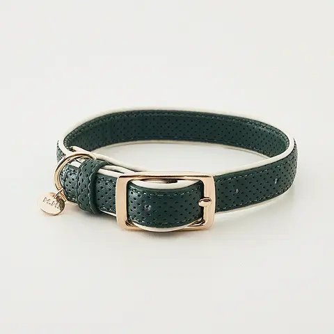 Vegan Leather Moto Collar