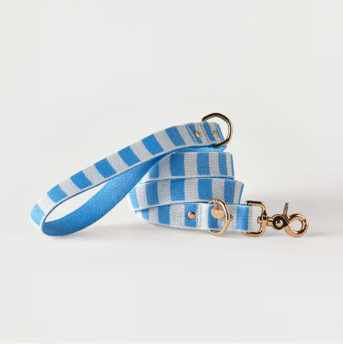 Blue Stripe Dog Leash