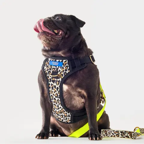 Leopard Comfort Knit Dog Harness