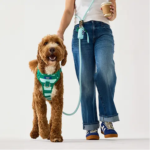 Hands-Free Adjustable Dog Leash