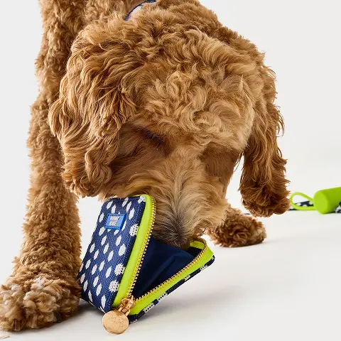 Navy Dot Treat Pouch