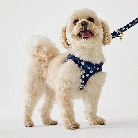 Navy Dot Comfort Knit Dog Harness