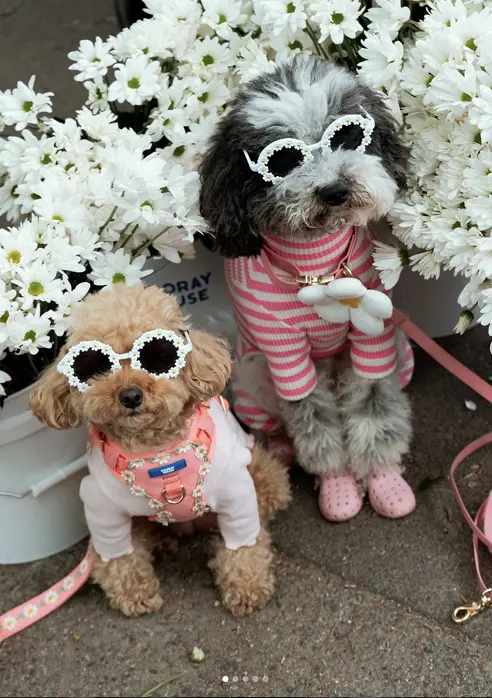 Hooray House on Instagram