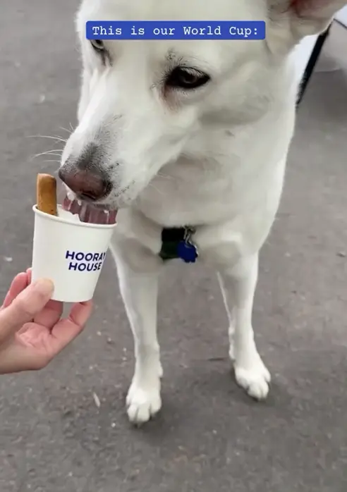 Hooray House on Instagram