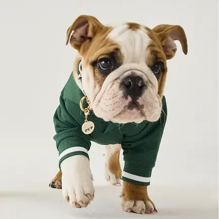hooray-house-pet-apparel-and-accessories-wag-collection