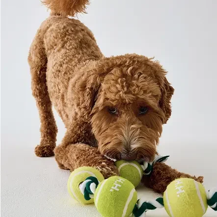 hooray-house-pet-toys-tennisball-tug-toy